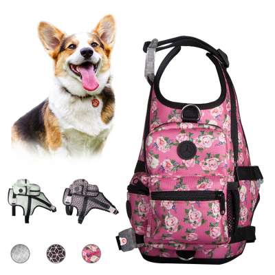 cheap wholesale nylon dog harness custom LED zipper backpack with large capacity