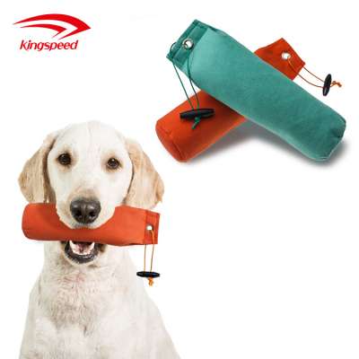 Amazon Eco-friendly  Customized  Outdoor DogTraining Dummy for Training Dog Toy